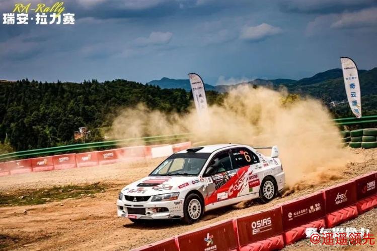 无惧挑战 杨恩东瑞安拉力赛斩获组别亚军